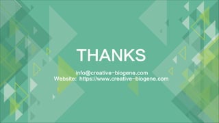 THANKS
info@creative-biogene.com
Website: https://www.creative-biogene.com
 