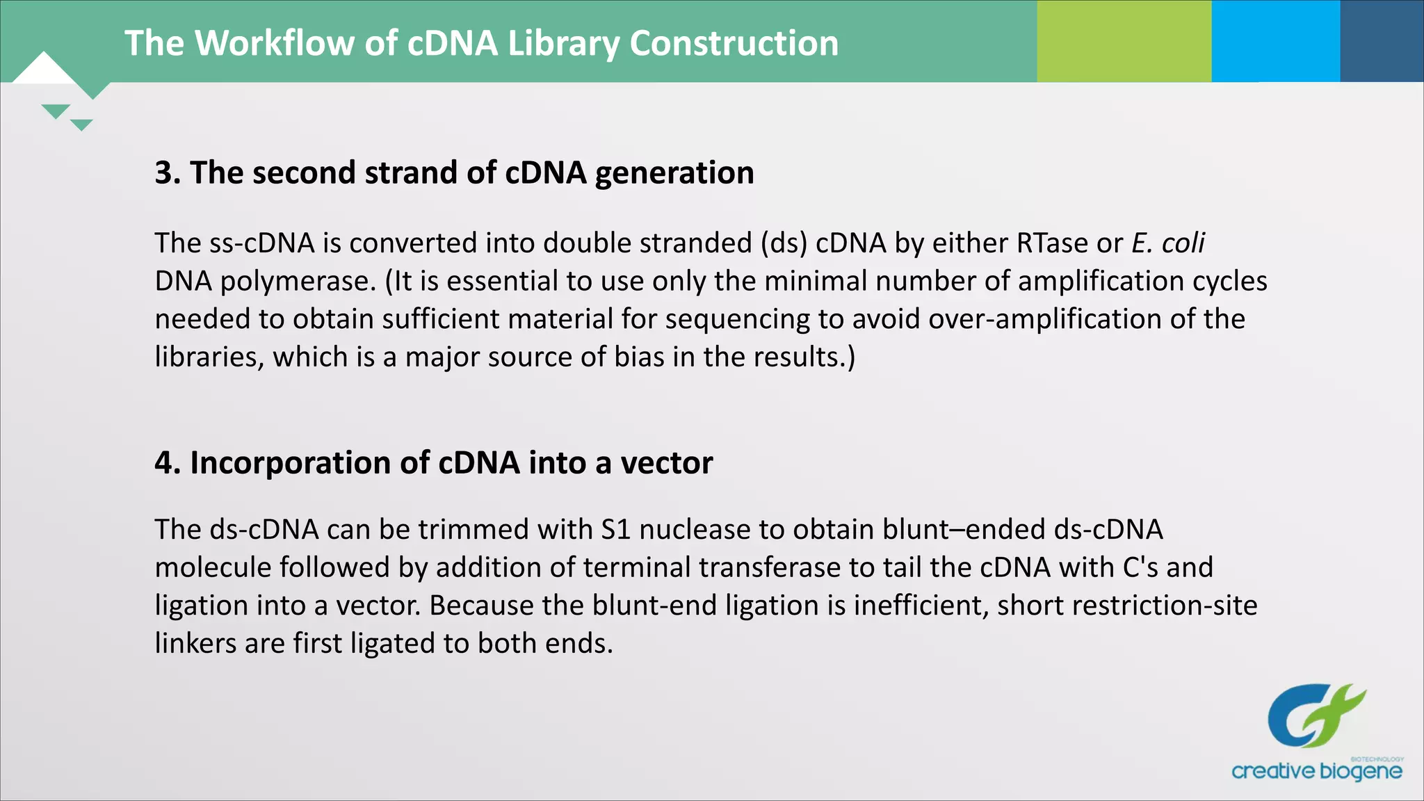 The Workflow of cDNA Library Construction
3. The second strand of cDNA generation
The ss-cDNA is converted into double stranded (ds) cDNA by either RTase or E. coli
DNA polymerase. (It is essential to use only the minimal number of amplification cycles
needed to obtain sufficient material for sequencing to avoid over-amplification of the
libraries, which is a major source of bias in the results.)
4. Incorporation of cDNA into a vector
The ds-cDNA can be trimmed with S1 nuclease to obtain blunt–ended ds-cDNA
molecule followed by addition of terminal transferase to tail the cDNA with C's and
ligation into a vector. Because the blunt-end ligation is inefficient, short restriction-site
linkers are first ligated to both ends.
 