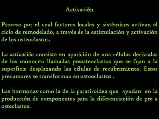 osteogénesis y remodelado óseo