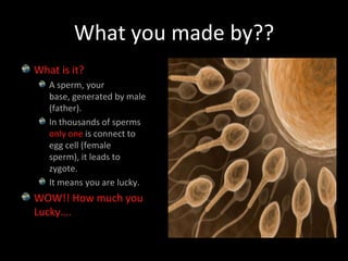 What you made by??What is it?A sperm, your base, generated by male (father).In thousands of sperms only one is connect to egg cell (female sperm), it leads to zygote.It means you are lucky.WOW!! How much you Lucky….