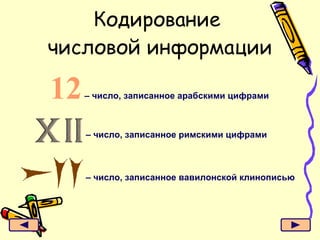 Кодирование  числовой информации 12   – число, записанное арабскими цифрами –  число, записанное римскими цифрами –  число, записанное вавилонской клинописью 