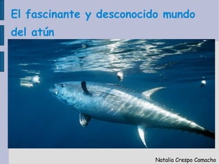 El fascinante y desconocido mundo del atún Natalia Crespo Camacho   