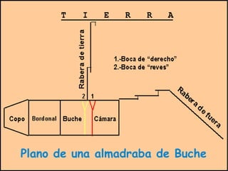 Plano de una almadraba de Buche 
