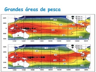 Grandes áreas de pesca 
