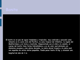 Bonito El bonito es un pez de aguas templadas y tropicales, muy codiciado y pescado como alimento en la costa este del Pacífico, la zona tropical del Atlántico, la región del Mediterráneo y en torno a Australia. Emparentado con el atún y la caballa, el cuerpo del bonito tiene forma hidrodinámica y es de color azul plateado con diminutas escamas y dos aletas dorsales. La aleta dorsal trasera y la aleta anal van seguidas de varias aletas pequeñas. Puede pesar hasta 10 Kg. y alcanzar una longitud de más de 1 m.   