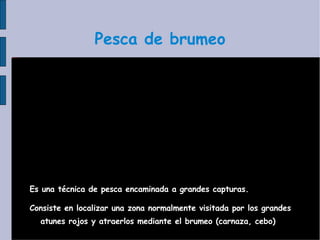 Pesca de brumeo Es una técnica de pesca encaminada a grandes capturas. Consiste  en localizar una zona normalmente visitada por los grandes   atunes rojos y atraerlos mediante el brumeo (carnaza, cebo)‏ 