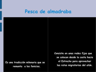 Pesca de almadraba Es una tradicción milenaria que se remonta  a los fenicios. Consiste en unas redes fijas que se colocan desde la costa hacia el Estrecho para aprovechar las rutas migratorias del atún. 