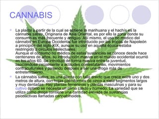 CANNABIS La planta a partir de la cual se obtiene la marihuana y el hachís es la cánnabis sativa. Originaria de Asia Oriental, es por ello la zona donde su consumo es más frecuente y antiguo. Así mismo, el uso no médico del cánnabis en Europa Occidental fue introducido por las tropas de Napoleón a principios del siglo XIX, aunque su uso en aquella época estaba restringido a círculos intelectuales. Aunque el consumo no médico de estas sustancias se conoce desde hace centenares de años, su introducción masiva en el mundo occidental ocurrió en los años 60. Se introdujo de forma masiva entre la juventud, asociándose inicialmente a actitudes contestatarias, movimientos contraculturales y pasando después a ser una droga más de entretenimiento. La cánnabis sativa, es una planta con tallo erecto que crece entre uno y dos metros de altura, con hojas palmiformes de cinco a siete segmentos largos y muy dentadas. Hay plantas femeninas y plantas masculinas y para su  cultivo  óptimo se necesita un clima cálido y húmedo. La variedad que se utiliza como droga contiene una cantidad elevada de sustancias psicoactivas llamadas cannabinoides. 