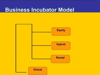 Business Incubator Model   Equity Hybrid Virtual Rental Virtual 