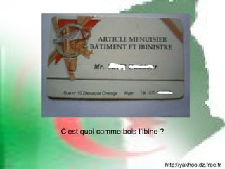 http://yakhoo.dz.free.fr C’est quoi comme bois l’ibine ? 