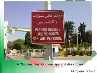 http://yakhoo.dz.free.fr … A Club des pins, On nous apprend des choses ! 