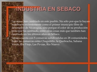 Las cosas han cambiado en este pueblo. No sólo por-que lo hayan nombrado recientemente como el primer municipio libre de desempleo de Nicaragua, sino porque el color de su producción principal ha cambiado, entre otras cosas más que también han cambiado en los últimos años en Sébaco. Sébaco cuenta con 5 comarcas subdivididas en 28 comunidades. Entre las comarcas están Chaguitillo, la Quebracha, Sabana Verde, Rio Viejo, Las Po-zas, Rio Nuevo. INDUSTRIA EN SEBACO
