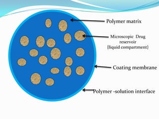 Polymer matrixMicroscopic  Drug reservoir{liquid compartment}Coating membranePolymer -solution interface