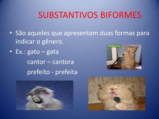SUBSTANTIVOS BIFORMESSão aqueles que apresentam duas formas para indicar o gênero.Ex.: gato – gata           cantor – cantora          prefeito - prefeita