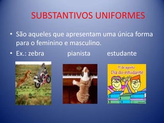 SUBSTANTIVOS UNIFORMESSão aqueles que apresentam uma única forma para o feminino e masculino.Ex.: zebra              pianista          estudante