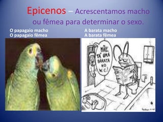 Epicenos– Acrescentamos macho ou fêmea para determinar o sexo.O papagaio macho                         O papagaio fêmeaA barata macho                              A barata fêmea