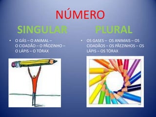 NÚMEROSINGULARO GÁS – O ANIMAL –                     O CIDADÃO – O PÃOZINHO –        O LÁPIS – O TÓRAXPLURALOS GASES –  OS ANIMAIS – OS CIDADÃOS – OS PÃEZINHOS – OS LÁPIS – OS TÓRAX
