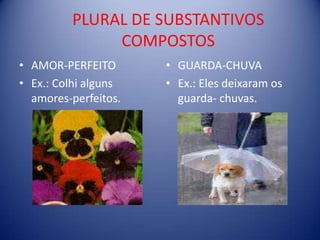 PLURAL DE SUBSTANTIVOS COMPOSTOSAMOR-PERFEITOEx.: Colhi alguns amores-perfeitos.GUARDA-CHUVAEx.: Eles deixaram os guarda- chuvas.