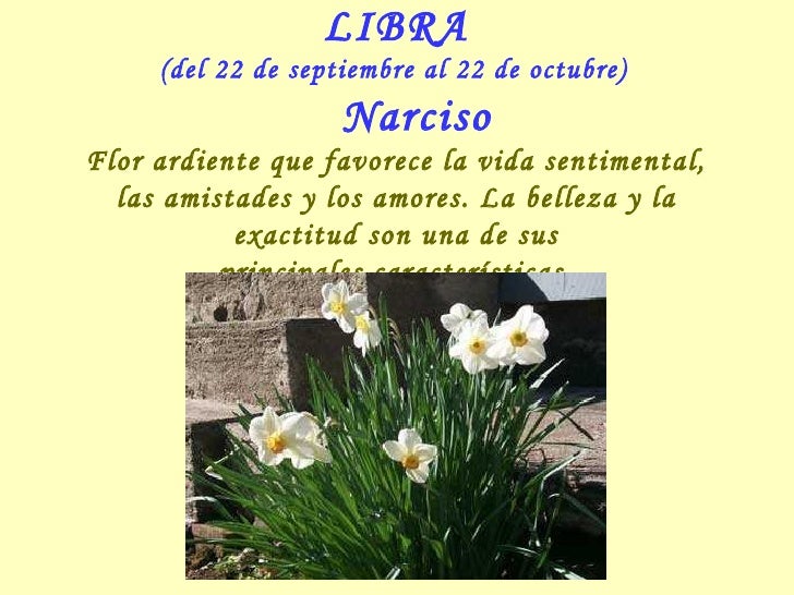 las flores del zodiaco