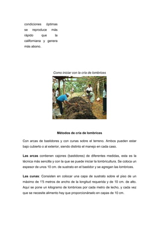 condiciones     óptimas
 se   reproduce      más
 rápido        que     la
 californiana y genera
 más abono.




                      Como iniciar con la cría de lombrices




                        Métodos de cría de lombrices

Con arcas de bastidores y con cunas sobre el terreno. Ambos pueden estar
bajo cubierto o al exterior, siendo distinto el manejo en cada caso.

Las arcas contienen cajones (bastidores) de diferentes medidas, esta es la
técnica más sencilla y con la que se puede iniciar la lombricultura. Se coloca un
espesor de unos 10 cm. de sustrato en el bastidor y se agregan las lombrices.

Las cunas: Consisten en colocar una capa de sustrato sobre el piso de un
máximo de 1'5 metros de ancho de la longitud requerida y de 10 cm. de alto.
Aquí se pone un kilogramo de lombrices por cada metro de lecho, y cada vez
que se necesite alimento hay que proporcionárselo en capas de 10 cm.
 