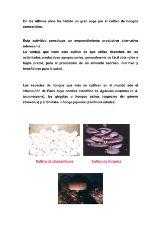 En los últimos años ha habido un gran auge por el cultivo de hongos
comestibles.



Esta actividad constituye un emprendimiento productivo alternativo
interesante.
La ventaja que tiene este cultivo es que utiliza desechos de las
actividades productivas agropecuarias, generalmente de fácil obtención y
bajos precio, para la producción de un alimento sabroso, nutritivo y
beneficioso para la salud.




Las especies de hongos que más se cultivan en el mundo son el
champiñón de París cuyo nombre científico es Agaricus bisporus (= A.
brunnescens), las girgolas u hongos ostras (especies del género
Pleurotus) y el Shiitake u hongo japonés (Lentinula edodes).




        Cultivo de champiñones              Cultivo de Girgolas
 