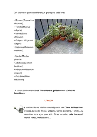 Dos jardineras podrían contener (un grupo para cada una):


• Romero (Rosmarinus
officinalis)
• Tomillo (Thymus
vulgaris)
• Salvia (Salvia
officinalis)
• Orégano (Origanum
vulgare)
• Mejorana (Origanum
majorana).

• Menta (Mentha
piperita)
• Albahaca (Ocimum
basilicum)
• Perejil (Petroselinum
crispum)
• Cebollino (Allium
fistulosum)




. A continuación veremos los fundamentos generales del cultivo de
Aromáticas.


                                      1. RIEGO


               • Muchas de las Hierbas son originarias del Clima Mediterráneo
               (Hisopo, Lavanda, Melisa, Orégano, Salvia, Santolina, Tomillo,...) y
               necesitan poca agua para vivir. Otras necesitan más humedad:
               Menta, Perejil, Hierbabuena,...
 