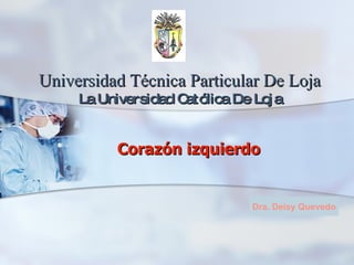 Universidad Técnica Particular De Loja
     La Universidad Católica De Loj a


           Corazón izquierdo


                                Dra. Deisy Quevedo
 