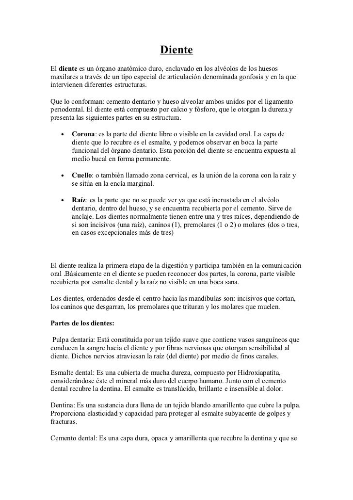 Dientes partes y funciones