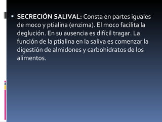 enzimas digestivas | PPT