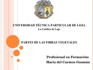 UNIVERSIDAD TÉCNICA PARTICULAR DE LOJA
             La Católica de Loja




    PARTES DE LAS FIBRAS VEGETALES



                    Profesional en Formación: 
                    María del Carmen Guamán
 