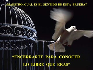 ¿MAESTRO, CUAL ES EL SENTIDO DE ESTA  PRUEBA? “ ENCERRARTE  PARA  CONOCER LO  LIBRE  QUE  ERAS” 