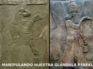 MANIPULANDO NUESTRA GLÁNDULA PINEAL 