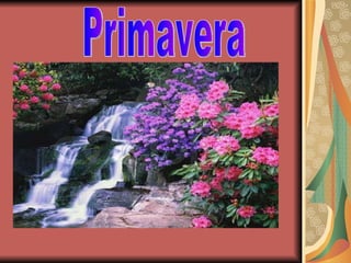 Primavera