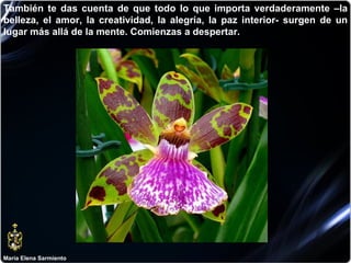 María Elena Sarmiento También te das cuenta de que todo lo que importa verdaderamente –la belleza, el amor, la creatividad, la alegría, la paz interior- surgen de un lugar más allá de la mente. Comienzas a despertar. 