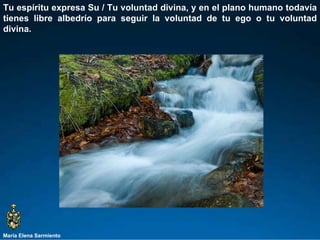 María Elena Sarmiento Tu espíritu expresa Su / Tu voluntad divina, y en el plano humano todavía tienes libre albedrío para seguir la voluntad de tu ego o tu voluntad divina.  