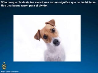 María Elena Sarmiento Sólo porque olvidaste tus elecciones eso no significa que no las hicieras. Hay una buena razón para el olvido.  