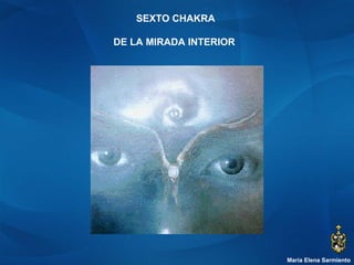 María Elena Sarmiento SEXTO CHAKRA DE LA MIRADA INTERIOR  