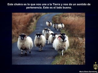 Este chakra es lo que nos une a la Tierra y nos da un sentido de pertenencia. Este es el lado bueno. María Elena Sarmiento 