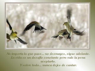 No importa lo que pase... no desmayes, sigue adelante. La vida es un desafío constante pero vale la pena aceptarlo. Y sobre todo... nunca dejes de cantar. 