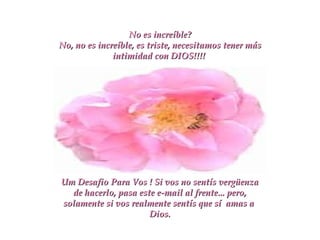 No es increíble? No, no es increíble, es triste, necesitamos tener más intimidad con DIOS!!!!   Um Desafio Para Vos ! Si vos no sentís vergüenza de hacerlo, pasa este e-mail al frente... pero, solamente si vos realmente sentís que sí  amas a  Dios. 