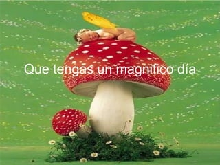 Que tengas un magnifico día 