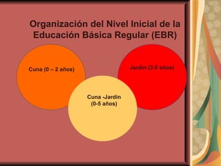 Cuna -Jardín (0-5 años) Cuna (0 – 2 años) Jardín (3-5 años) Organización del Nivel Inicial de la Educación Básica Regular (EBR) 