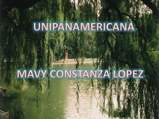 UNIPANAMERICANA MAVY CONSTANZA LOPEZ 