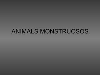 ANIMALS MONSTRUOSOS 