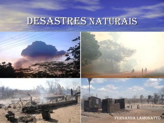DESASTRES  NATURAIS FERNANDA LAMONATTO 
