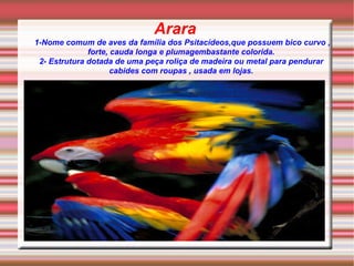Arara  1-Nome comum de aves da família dos Psitacídeos,que possuem bico curvo , forte, cauda longa e plumagembastante colorida. 2- Estrutura dotada de uma peça roliça de madeira ou metal para pendurar cabides com roupas , usada em lojas. 