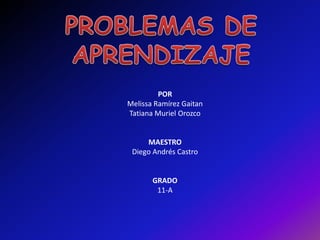 PROBLEMAS DE APRENDIZAJE POR Melissa Ramírez Gaitan Tatiana Muriel Orozco MAESTRO Diego Andrés Castro GRADO 11-A 