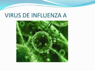VIRUS DE INFLUENZA A
