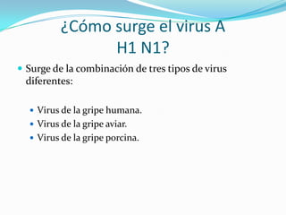 ¿Cómo surge el virus AH1 N1?Surge de la combinación de tres tipos de virus diferentes: Virus de la gripe humana.Virus de la gripe aviar.Virus de la gripe porcina.