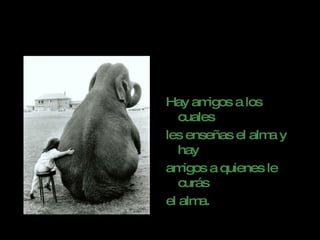 Hay amigos a los cuales  les enseñas el alma y hay  amigos a quienes le curás  el alma. 